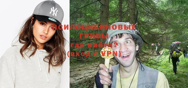 дурь Алзамай