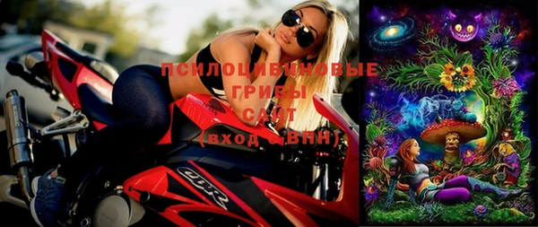 герыч Алексин