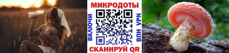Псилоцибиновые грибы GOLDEN TEACHER Белоярский